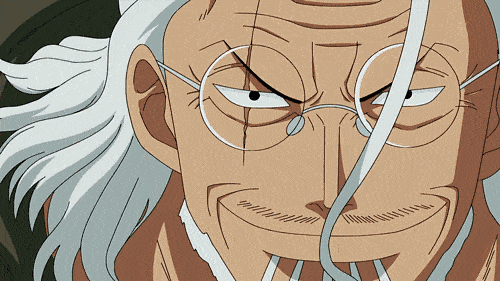 Top 20 Mature Male Anime Characters Fans Think Are the Coolest Silvers Rayleigh One Piece