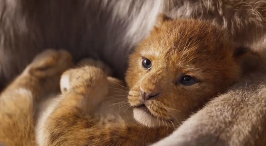 THE LION KING Fragmanı: 25 Yıl Sonra Yeniden!