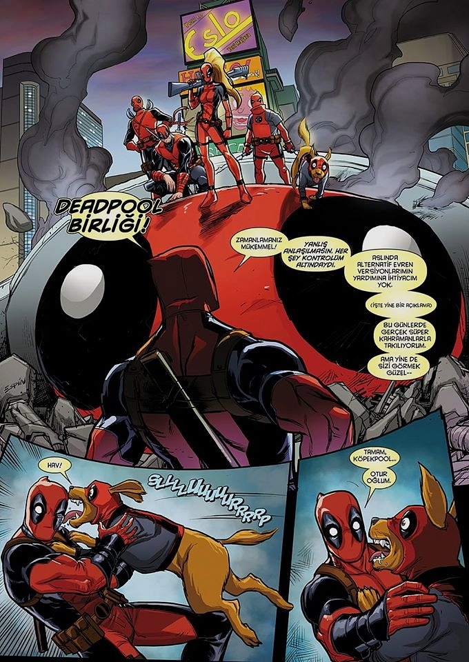 11754550_10153548370904850_2237399577513233535_o