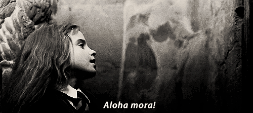 HARRY POTTER Büyüleri aloha mora