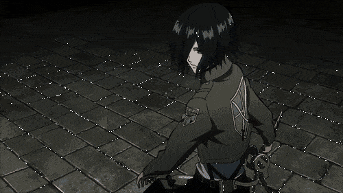 Mikasa Ackerman (Attack on Titan)