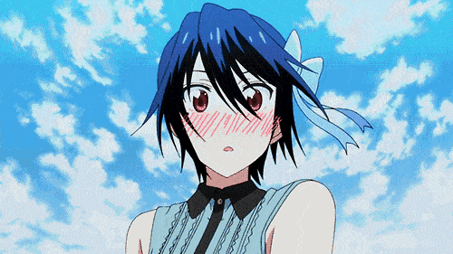 Nisekoi Seishiro Tsugumi