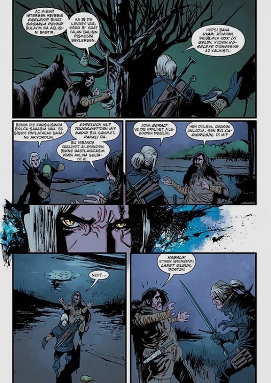 The-Witcher-Cilt-1-Camlar-Konagi_52178_3