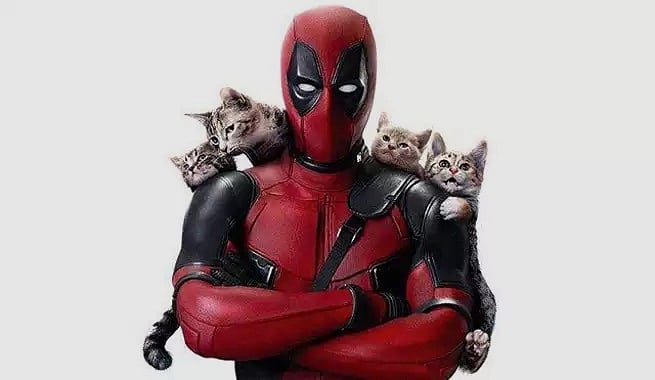 cat deadpool