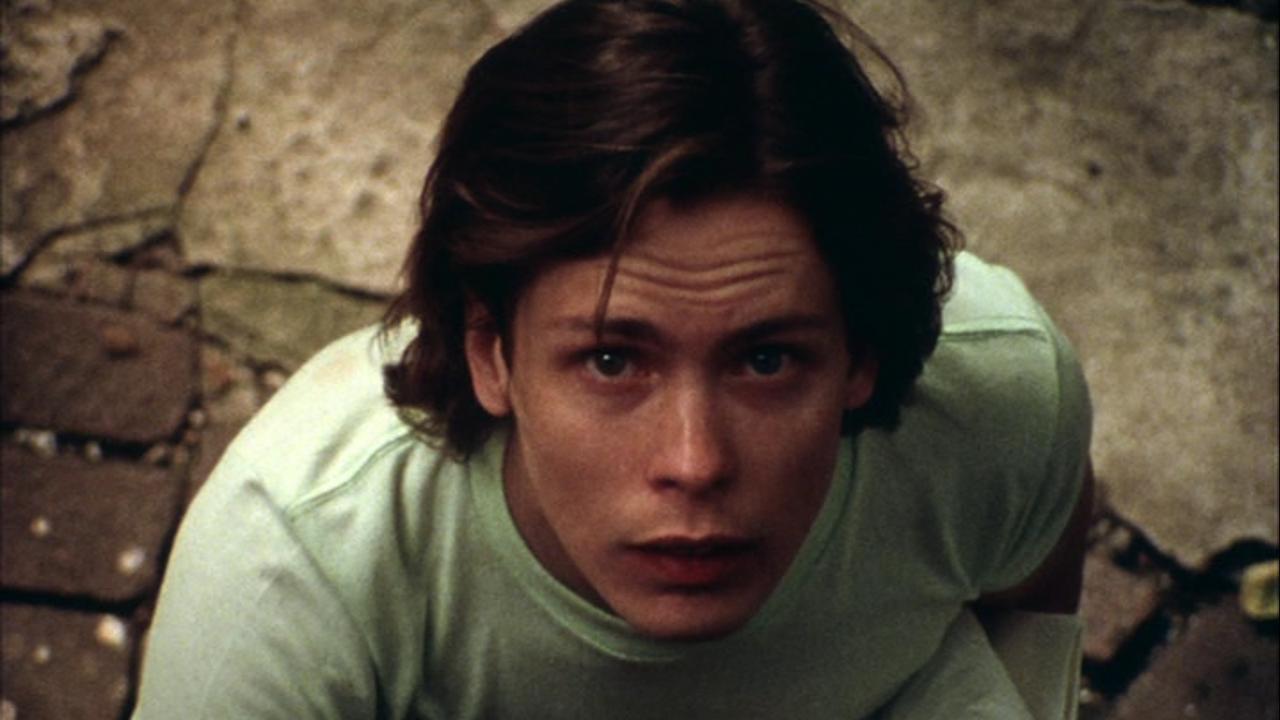 Martin (1977) İnceleme