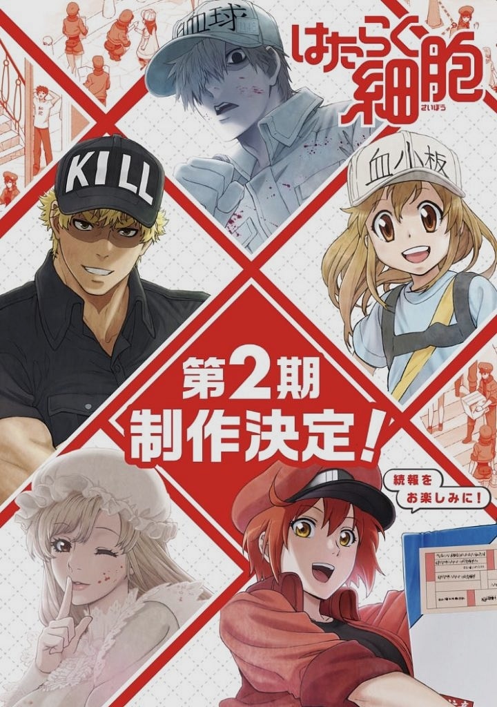 Hataraku Saibou 2. sezon 