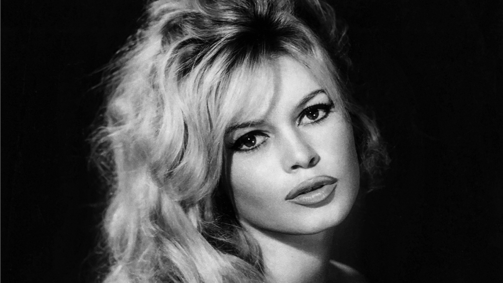 Sinema Efsanesi Brigitte Bardot Hayatını Kaybetti!