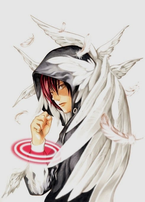 platinum end