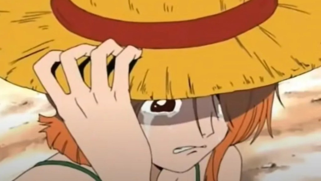 One Piece: Luffy’nin Korsan Kral Yolunda Tayfasını Kurduğu Anlar 5 One Piece Nami Luffy Help Me