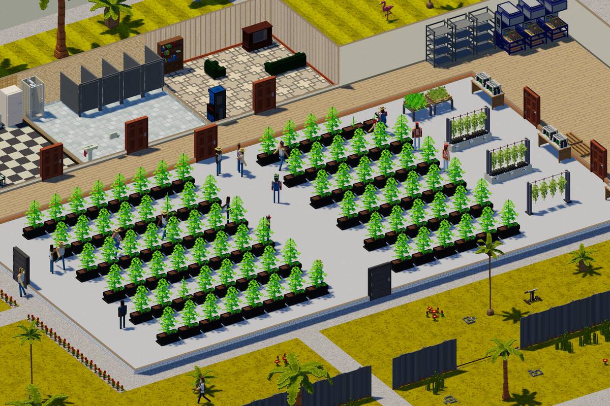 definitely not fried chicken plants 1