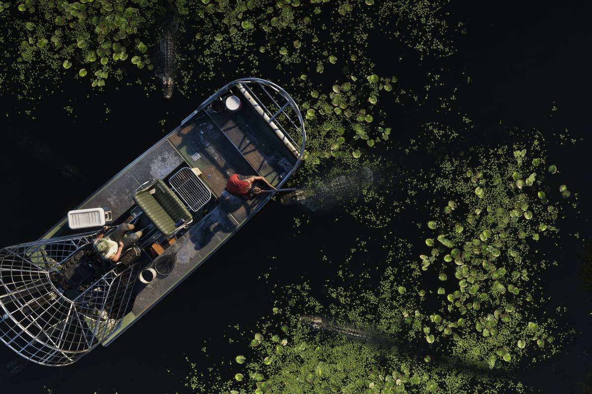 grand theft auto 6 press image 7 1