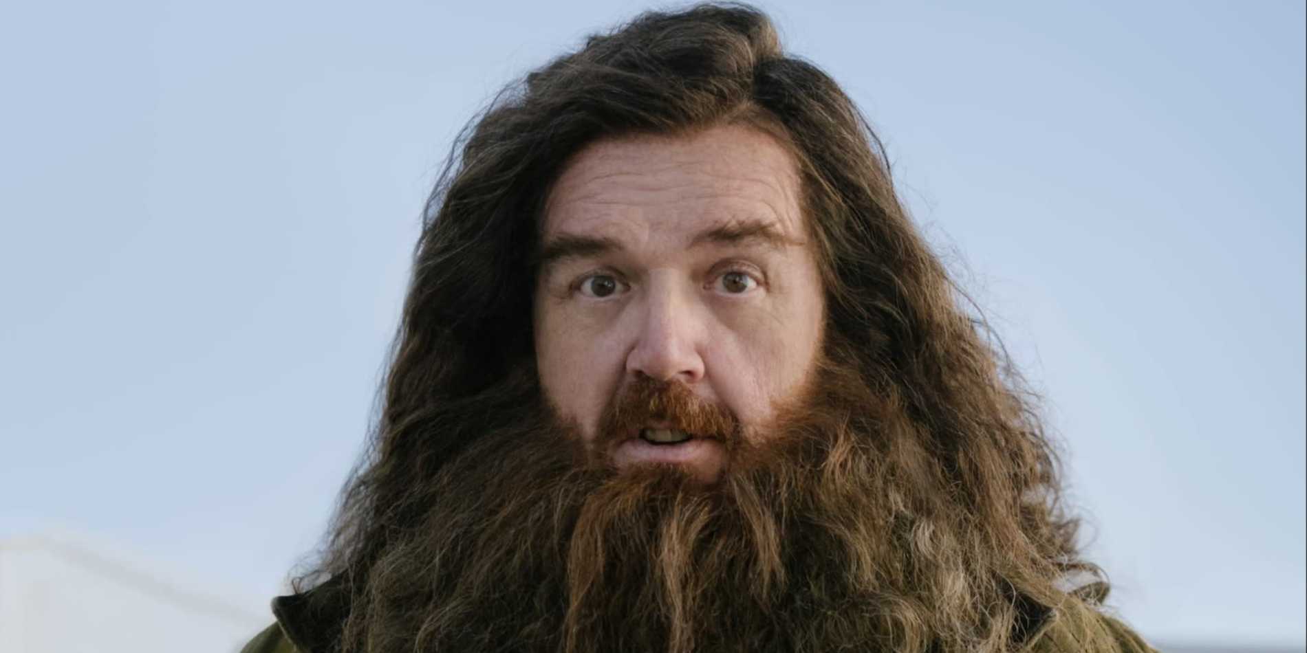 harry potter nick frost hagrid 1