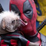 Deadpool Nisan’da Geri Dönüyor: Marvel Yeni Çizgi Romanını Duyurdu