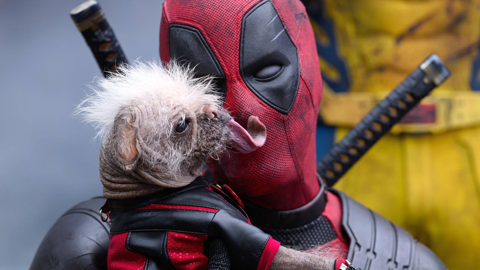 Deadpool Nisan’da Geri Dönüyor: Marvel Yeni Çizgi Romanını Duyurdu